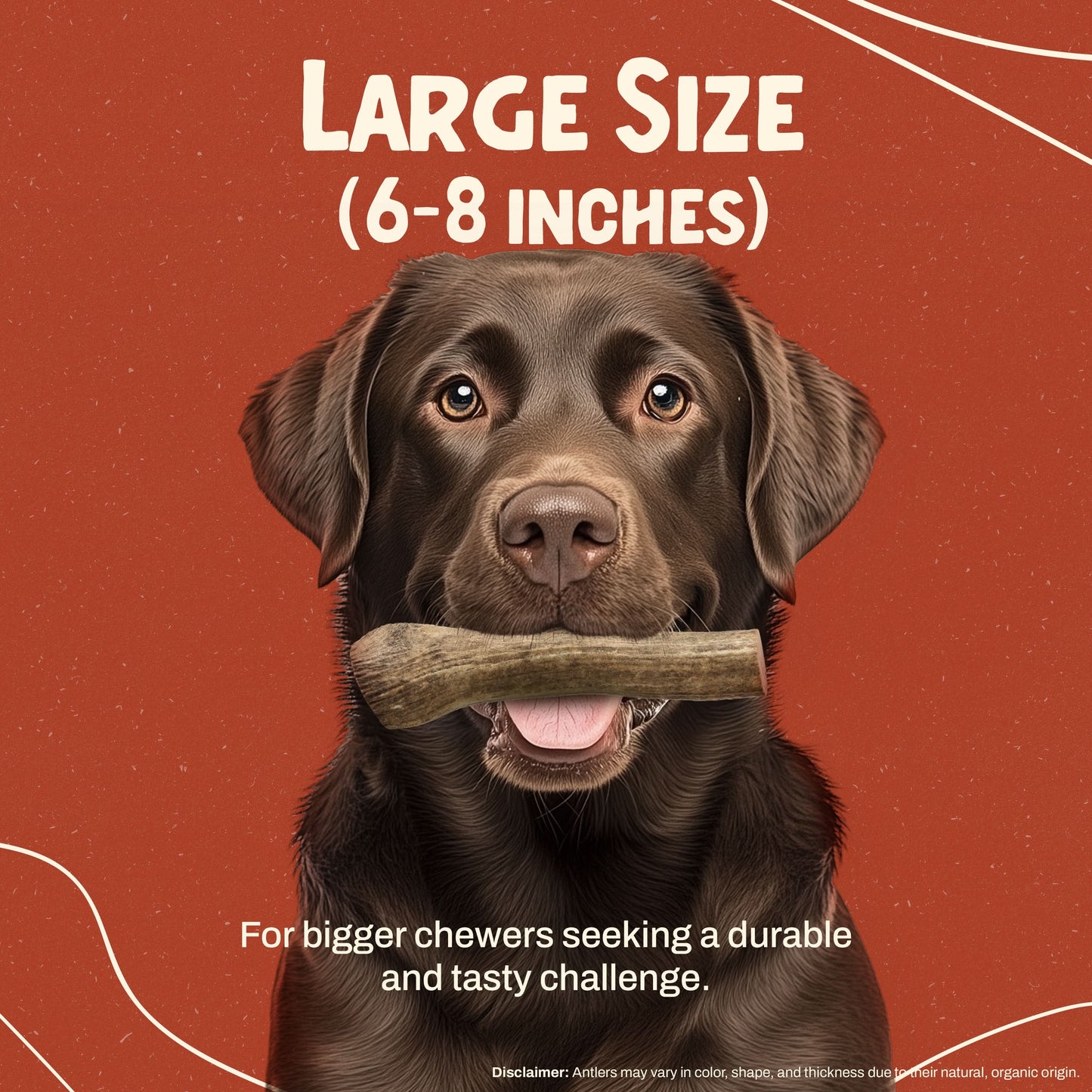 Elk Antler Chew - Large (45-65 lbs)