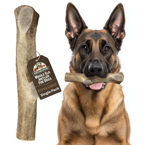 Whole Elk Antler Chew - Extra Large (65-85 lbs)