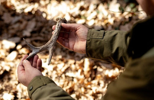 Understanding the Different Cuts of Antler Chews: Which One is Right for Your Dog?