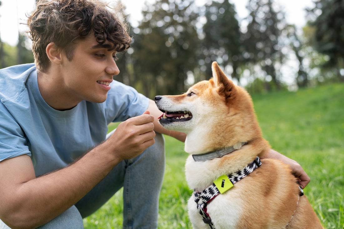 Pet Parent Stories: How Antler Chews Have Made a Difference