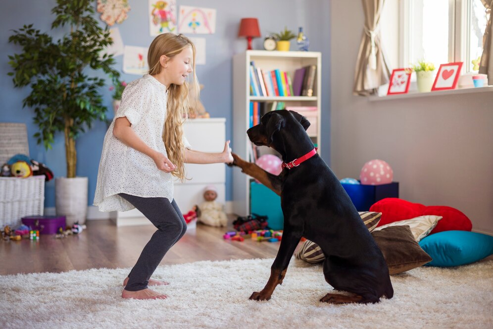 Creating an Antler Chew Fun Zone at Home