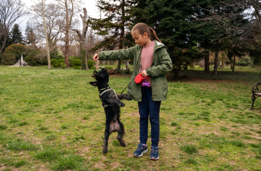 Antler Chews and Dog Training: A Unique Approach