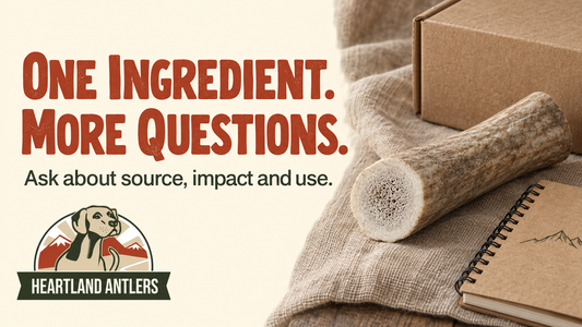 Antler, plain box and notebook with questions about source, impact and use.