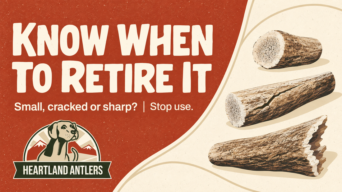 Generated examples of worn antler pieces: stop use when a chew is small, cracked or sharp