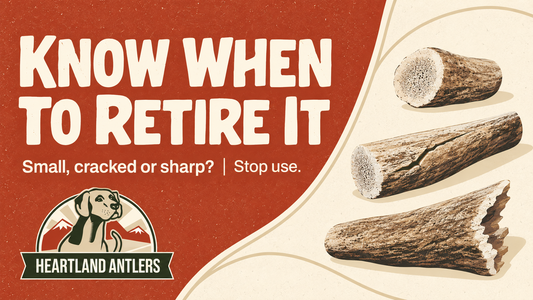 Generated examples of worn antler pieces: stop use when a chew is small, cracked or sharp