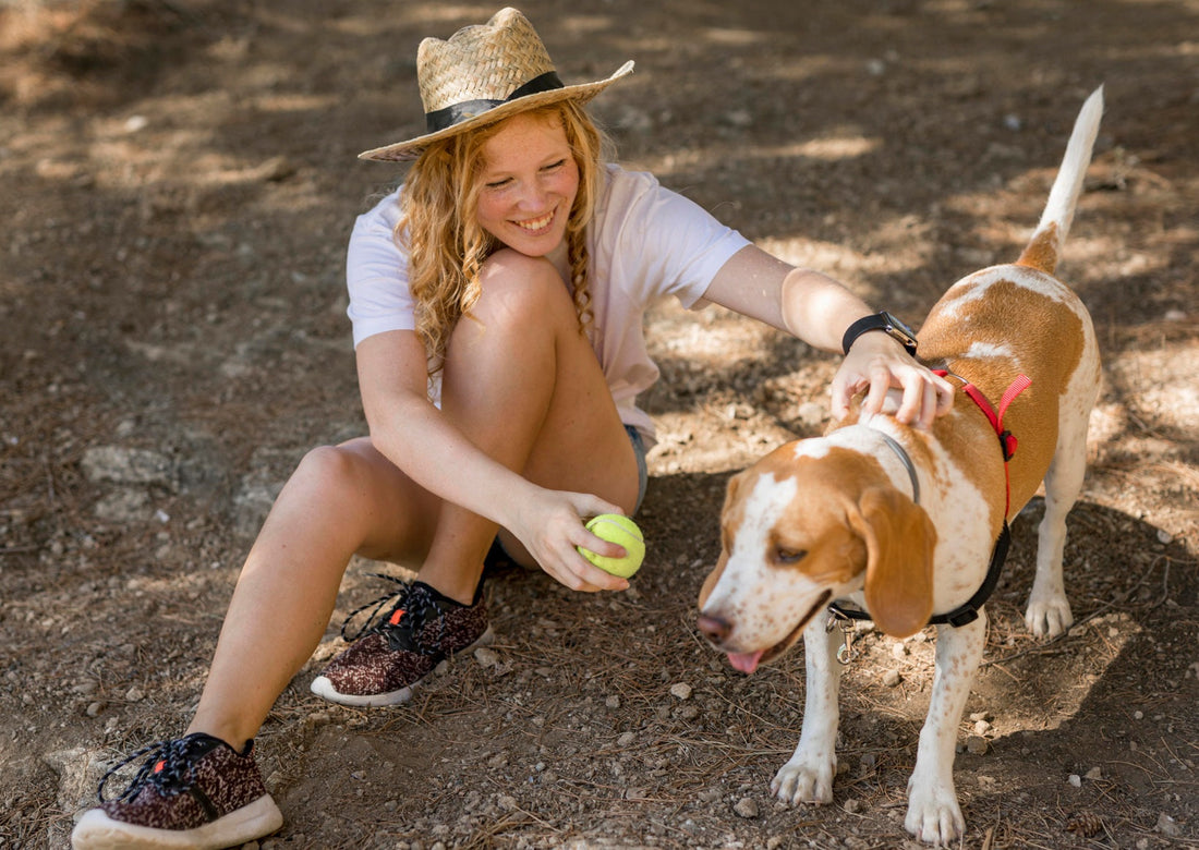 Crafting an Antler Chew Playtime Routine: Fun Activities for Dogs