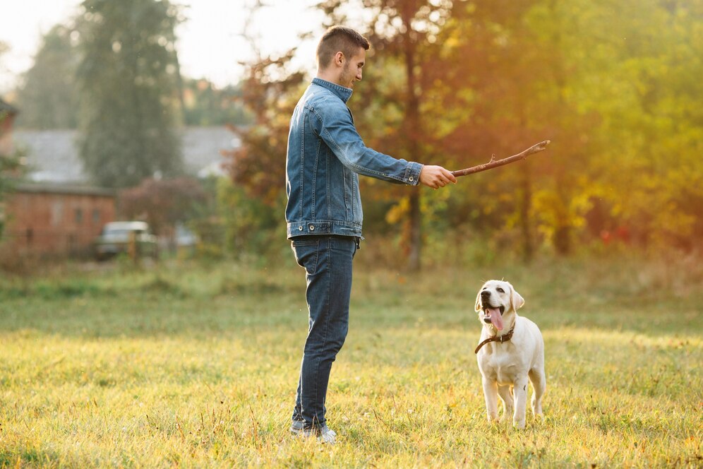 Antler Chews and Dog Training: Tips for Using Chews to Teach Commands