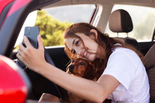 Traveling with Antler Chews: Tips for Pet Owners on the Go