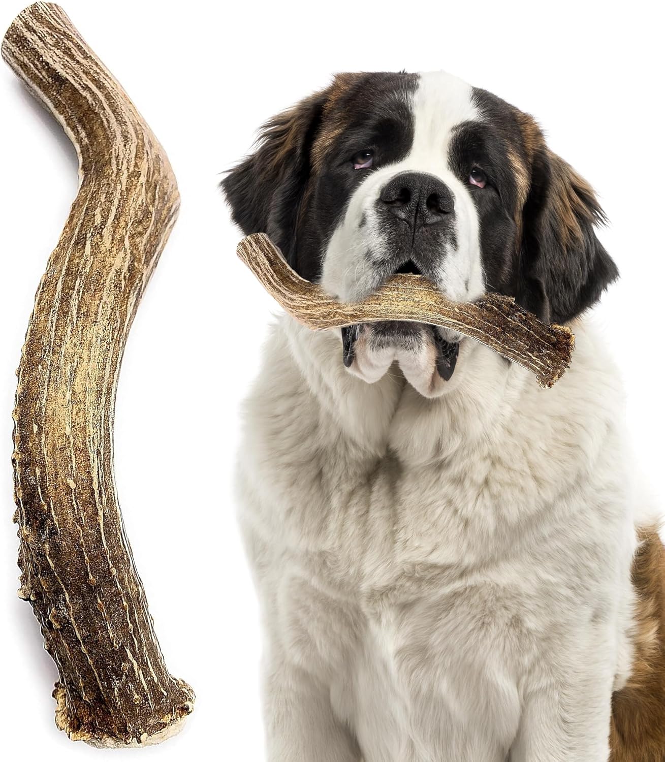 Whole Elk Antler Chews