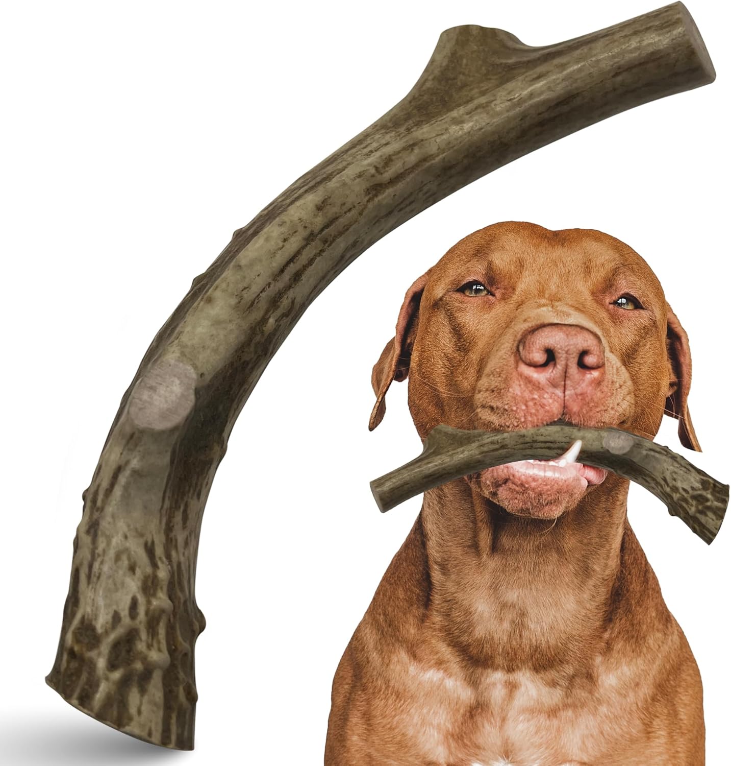 Deer Antler Chews