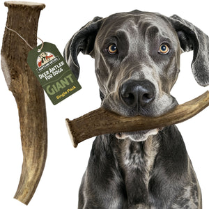 Deer Antler Chew - Giant (85+ lbs)