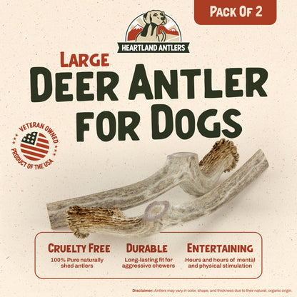 Deer Antler Chew - Large | 2-Pack