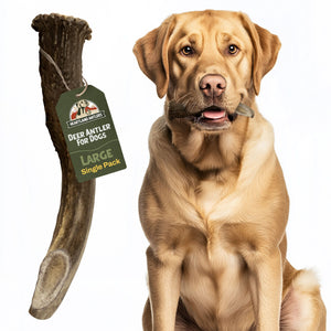 Deer Antler Chew - Large (45-65 lbs)