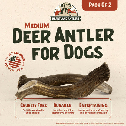 Deer Antler Chew - Medium | 2-Pack