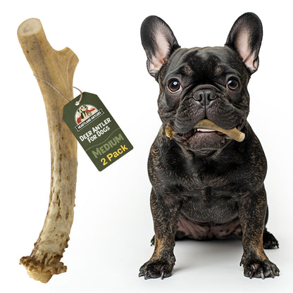 Deer Antler Chew - Medium | 2-Pack