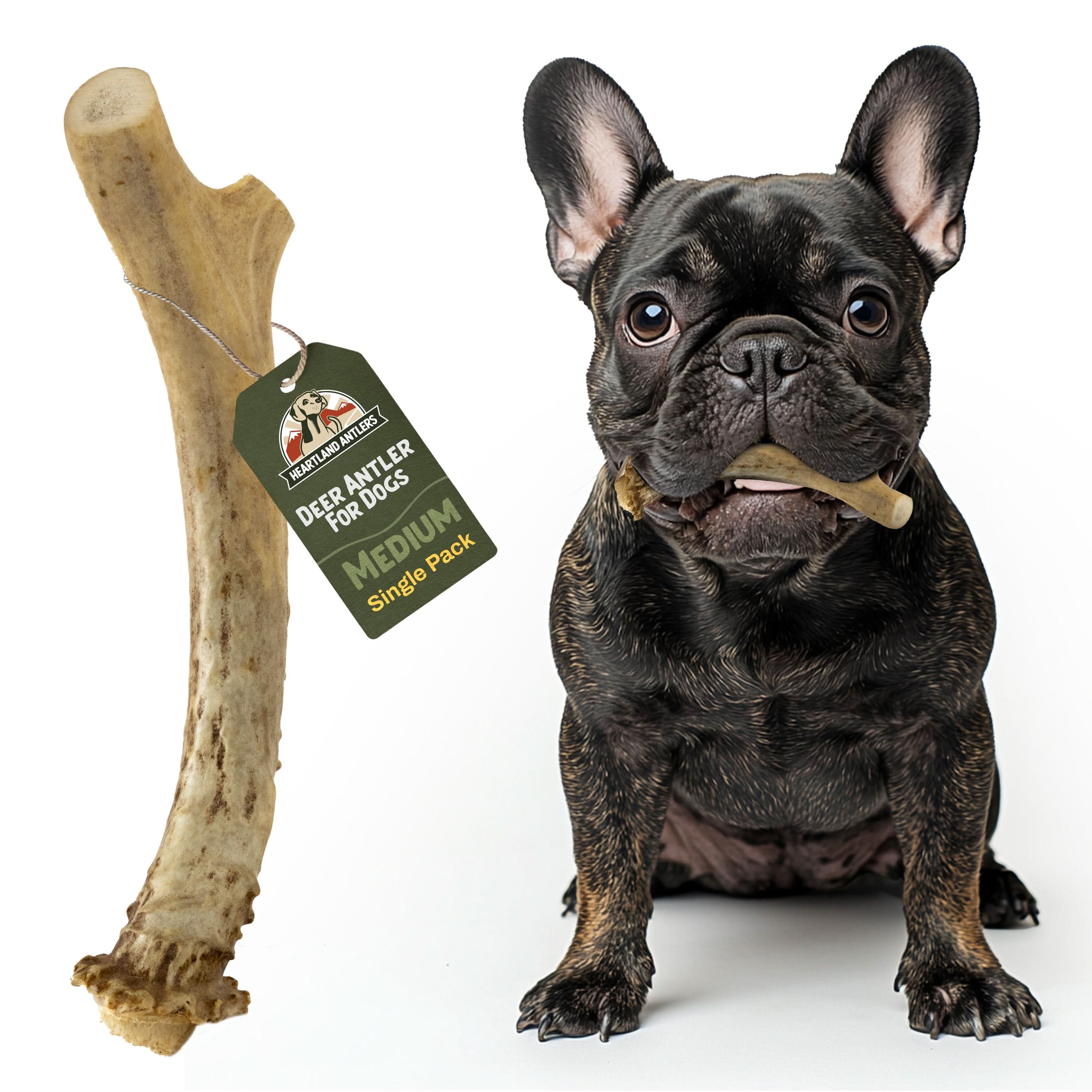 Deer Antler Chew - Medium (25-45 lbs)