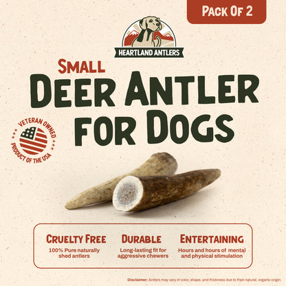 Deer Antler Chew - Small | 2-pack