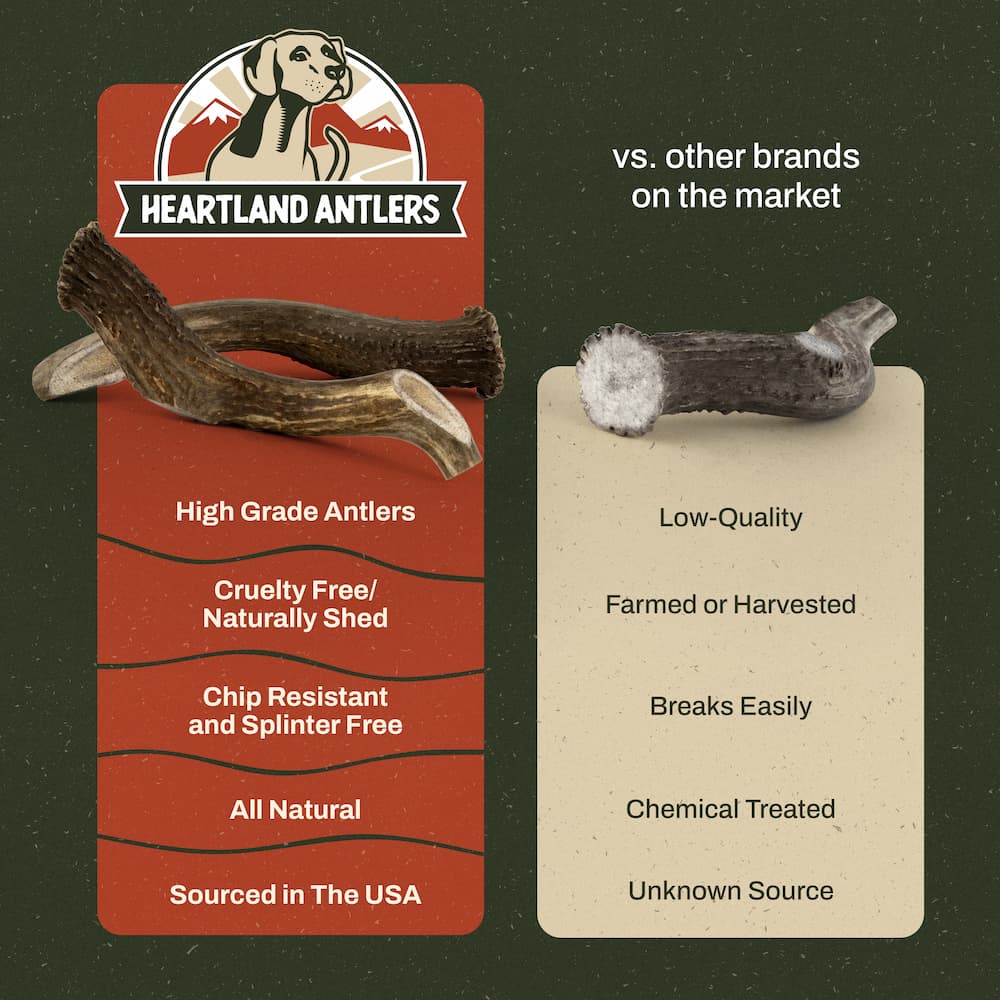 Deer Antler Chew
