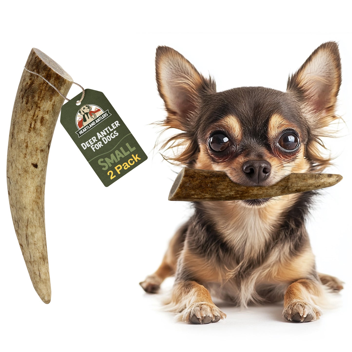 Deer Antler Chew - Small | 2-pack