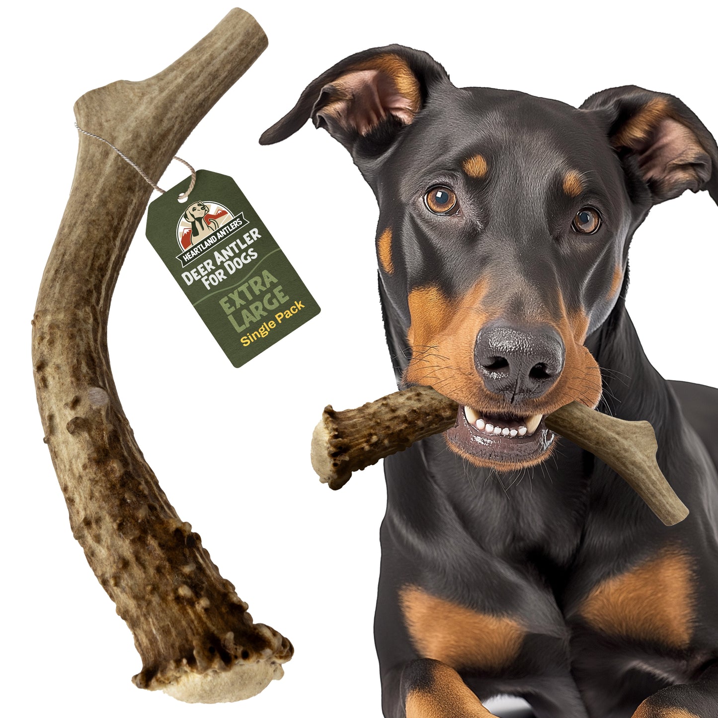 Deer Antler Chew - Extra Large (Dogs 65-85 lbs)