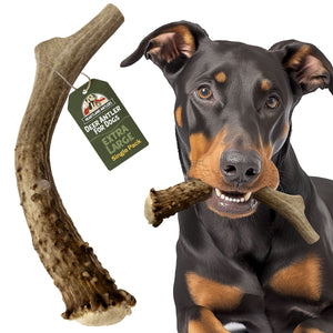 Deer Antler Chew - Extra Large (65-85 lbs)