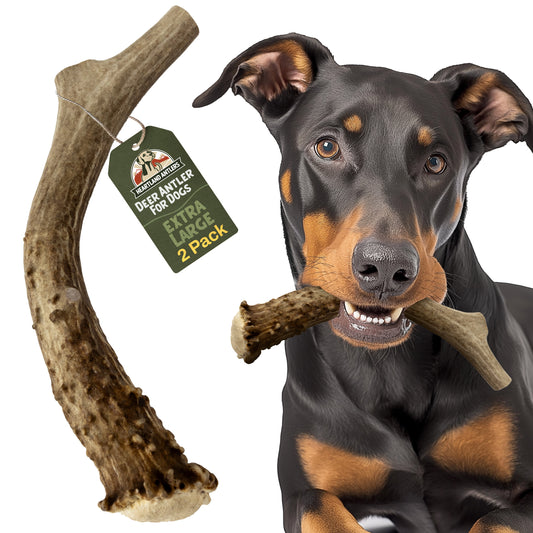 Deer Antler Chew - Extra Large | 2-Pack