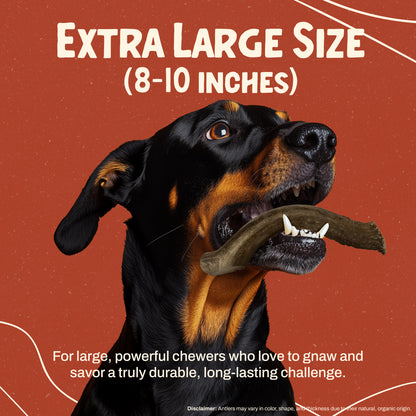 Deer Antler Chew - Extra Large (Dogs 65-85 lbs)