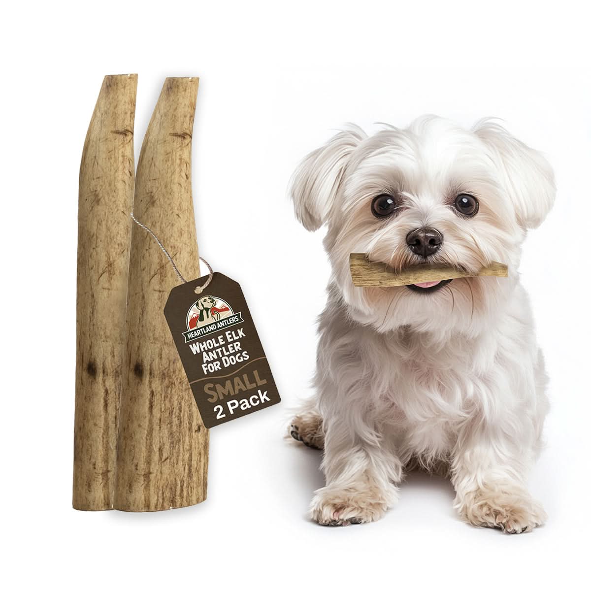 Whole Elk Antler Chew - Small (Dogs 5-25 lbs) | 2 pack