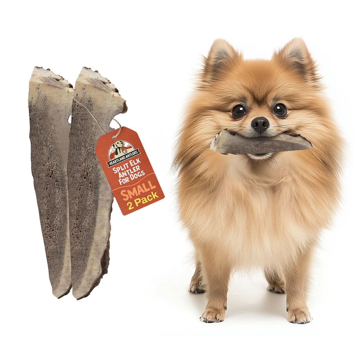 Split Elk Antler Chew - Small (5-25 lbs) | 2 pack