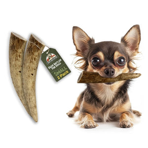 Deer Antler Chew - Small (5-25 lbs) | 2-pack