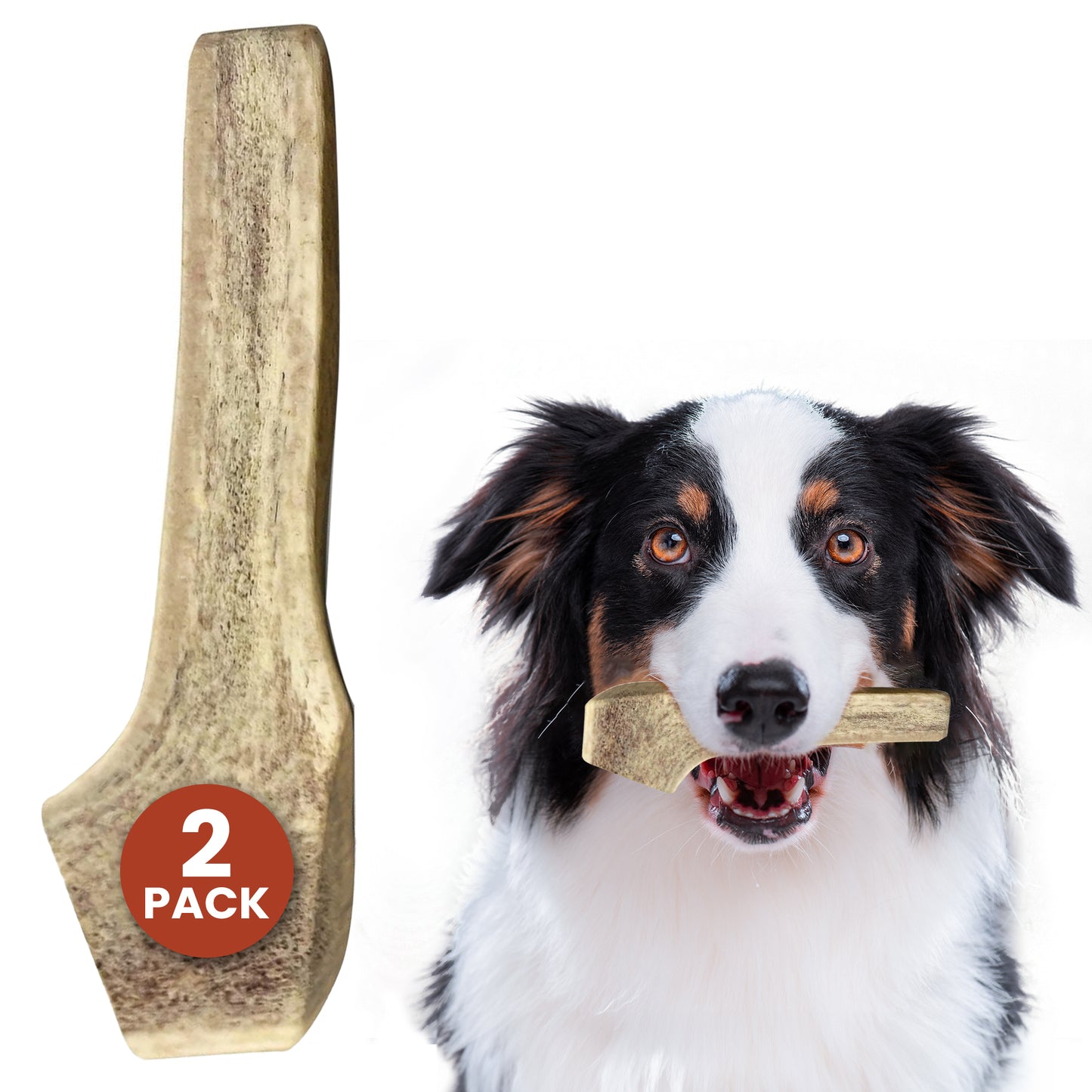 Split Elk Antler Chews - Medium | 2 Pack