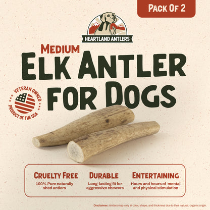 Whole Elk Antler Chew - Medium | 2-Pack