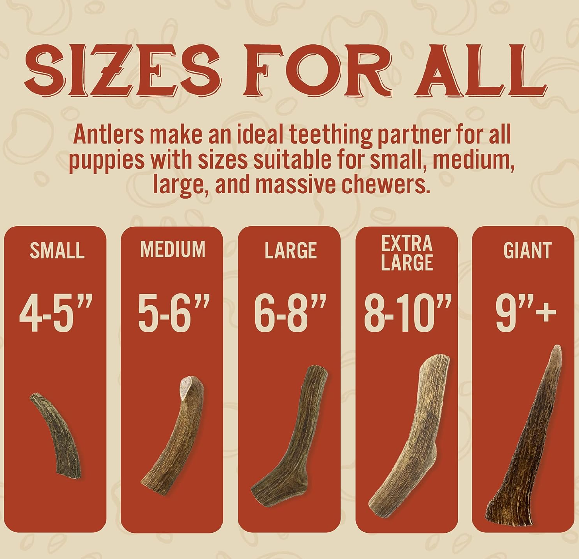 Deer Antler Chew - Size Comparison