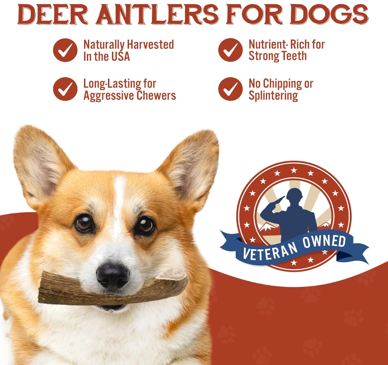 Durability of antler chews