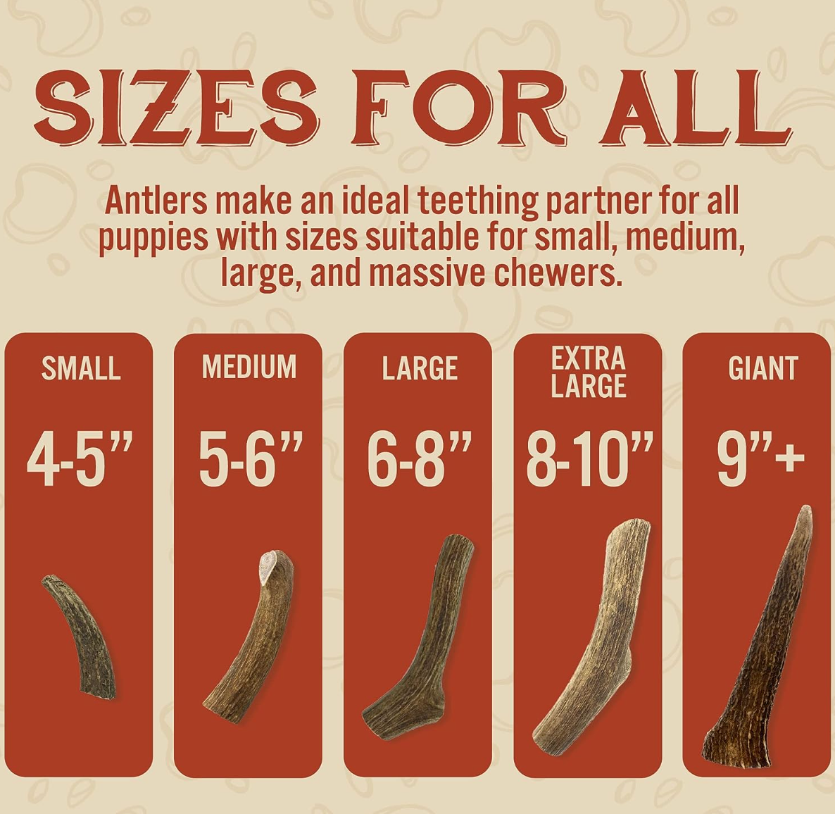 Safety considerations for antler chews