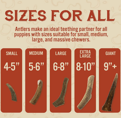 Split Elk Antler Chew - Large
