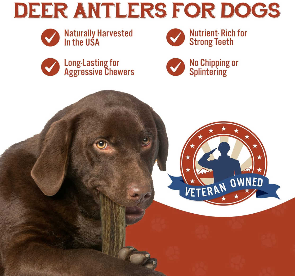 Deer Antler Chew - Large