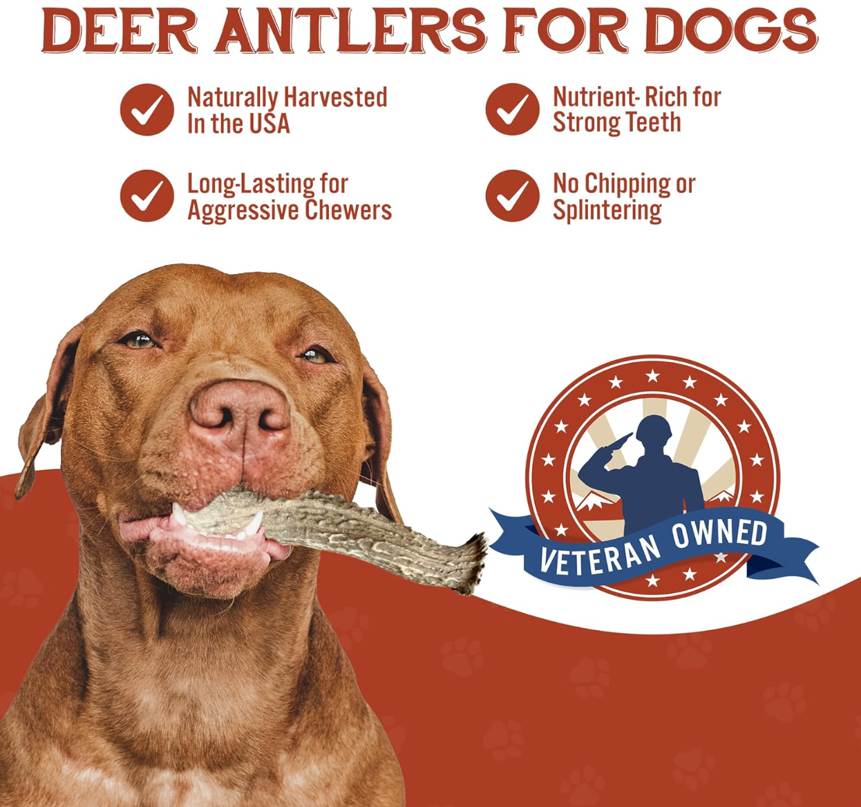 Dental health benefits of antler chews