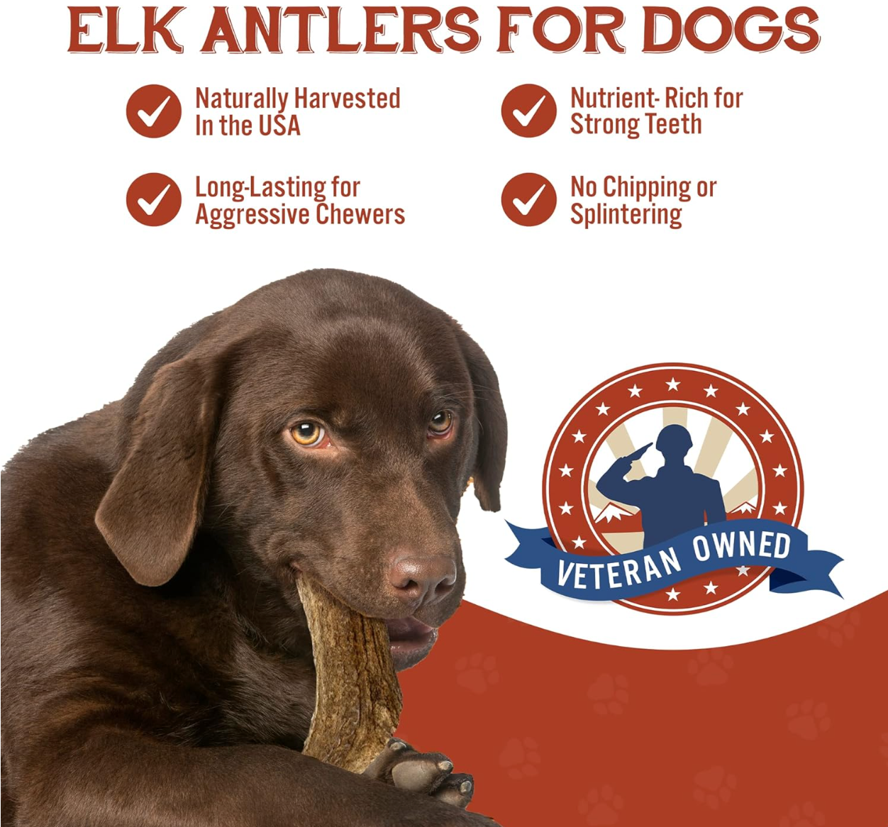 Extra large elk antlers for dogs hot sale