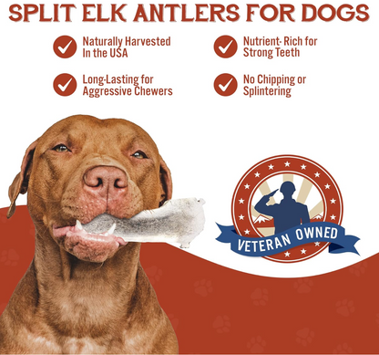 Split Elk Antler Chew - XL