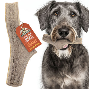 Split Elk Antler Chew - Giant (85+ lbs)