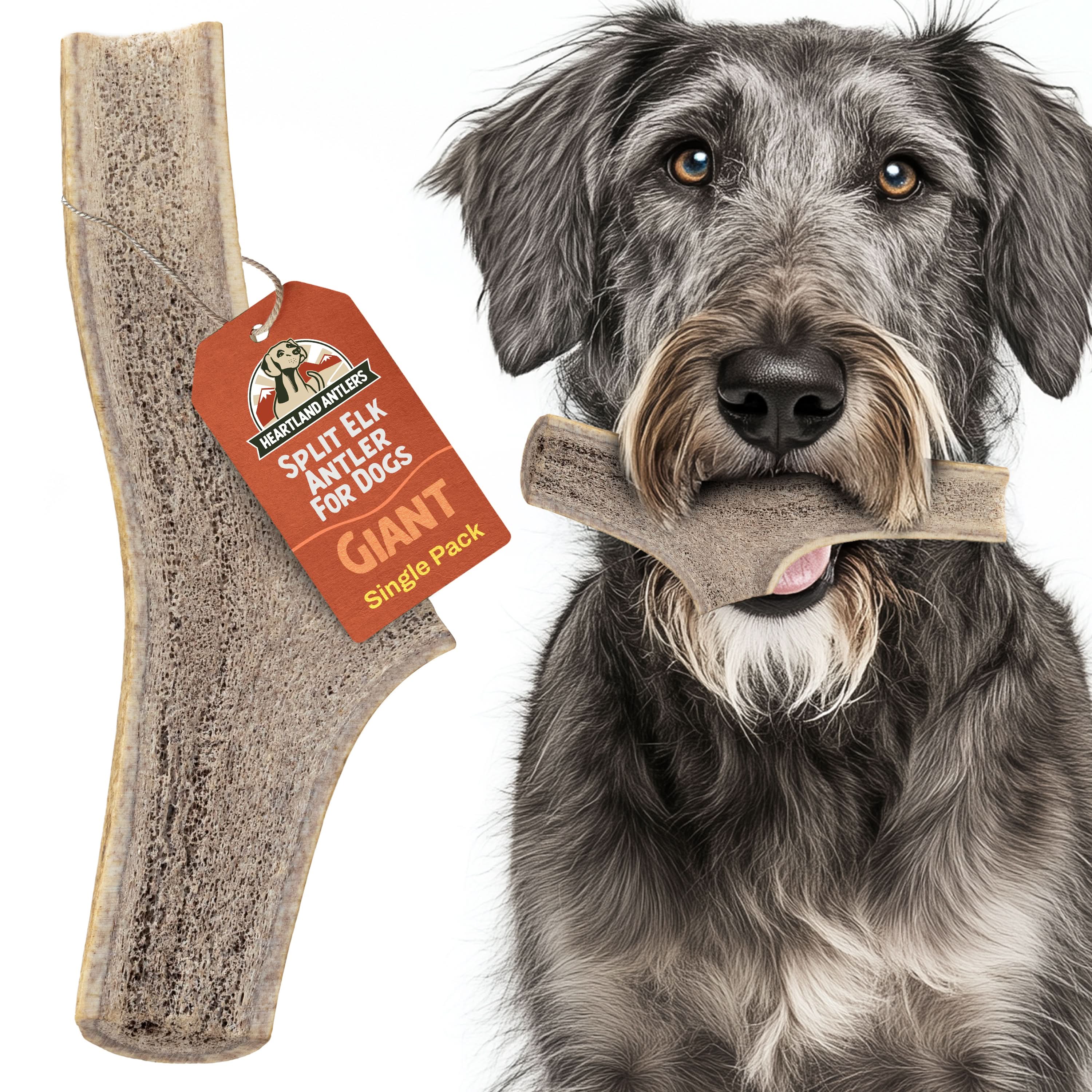 Split Elk Antler Chew - Giant (85+ lbs)