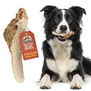 Split Elk Antler Chew - Medium (25-45 lbs)