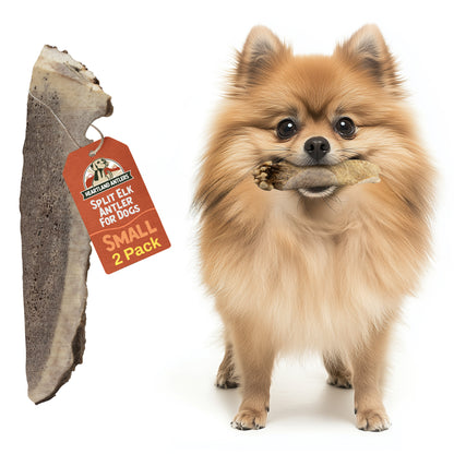 Split Elk Antler Chew - Small | 2 pack