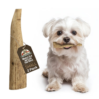 Whole Elk Antler Chew - Small | 2 pack