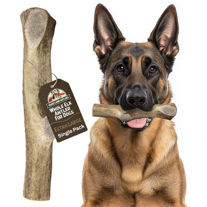 Elk Antler Chew - Extra Large (Dogs 65-85 lbs)