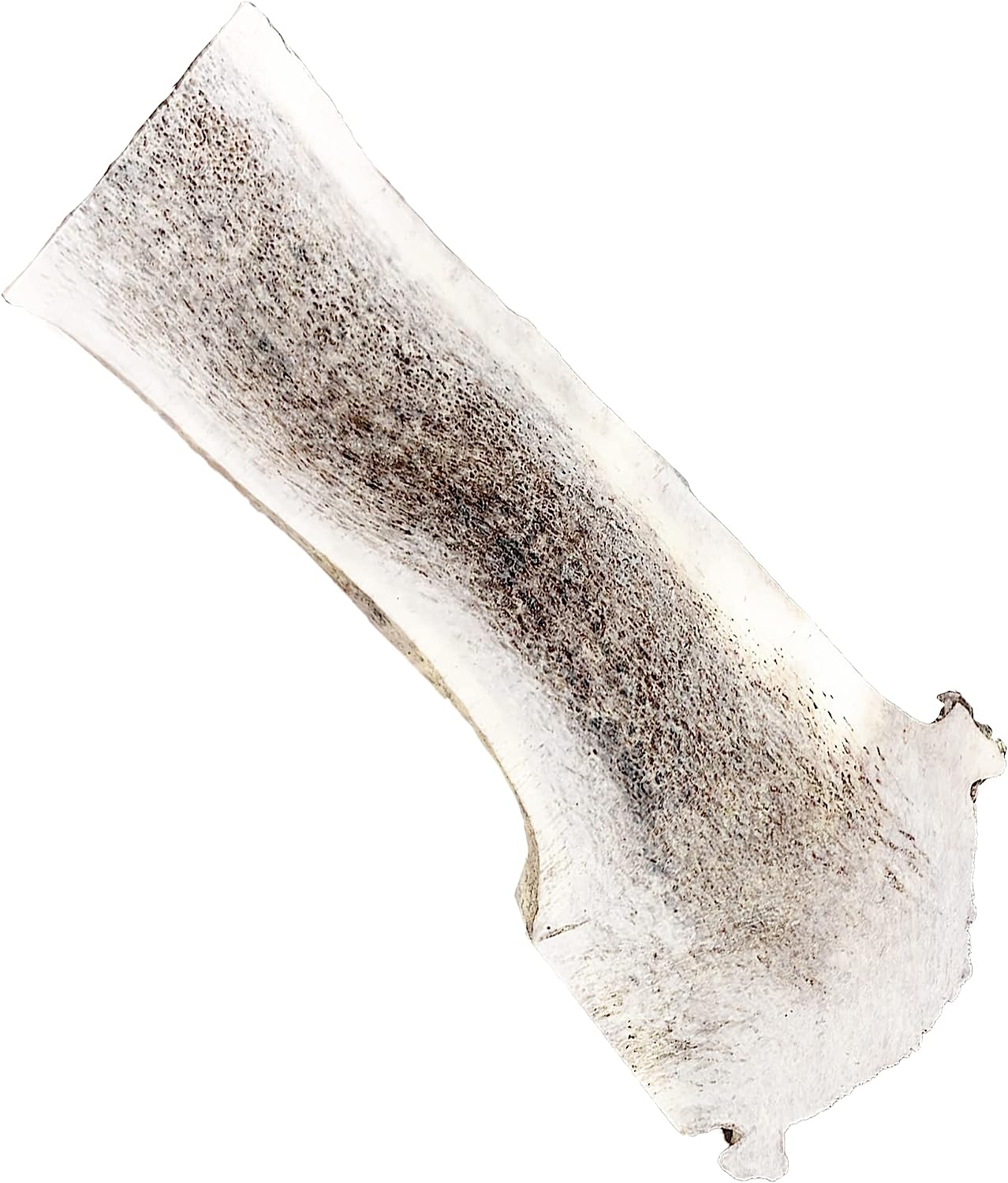 Split Elk Antler Chew - XL
