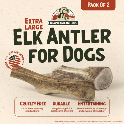 Whole Elk Antler Chew - Extra Large | 2-Pack