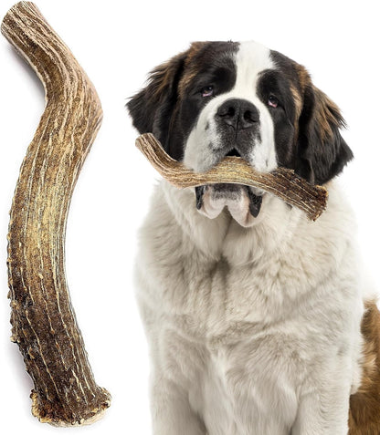 Deer Antler Chew Giant