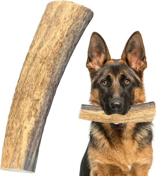 Best selling antlers
